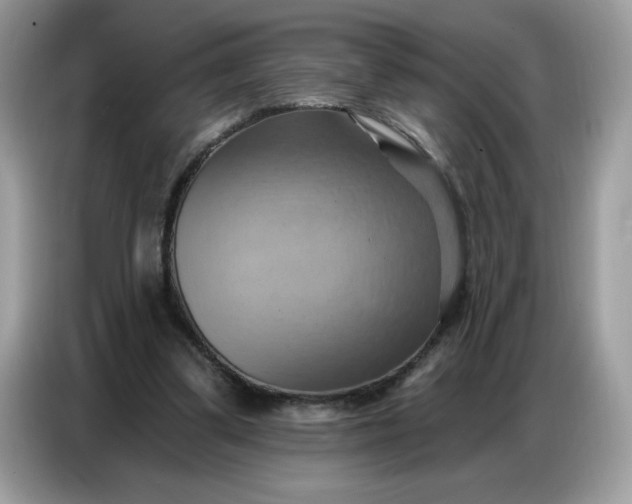 X0000086750299200704271716