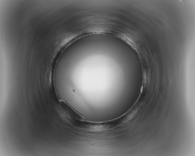 X0000086750301200704271716