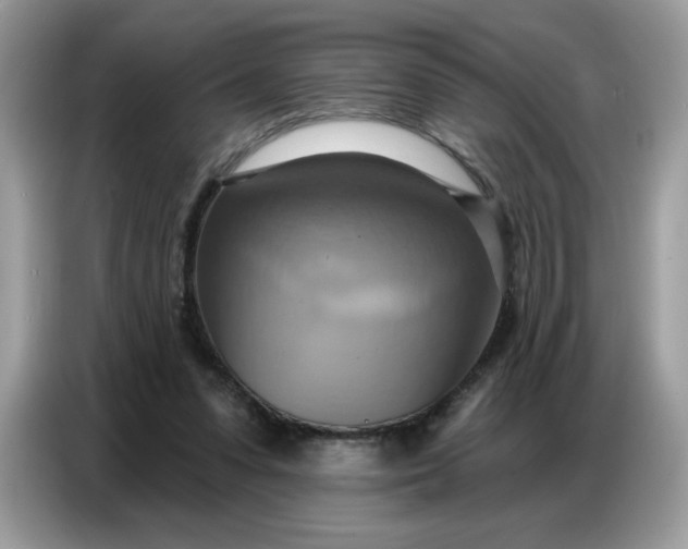 X0000086750303200704271715