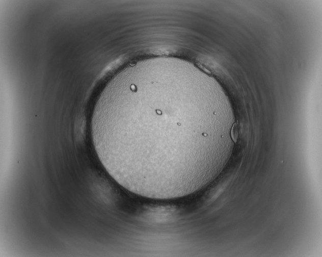 X0000086750304200704271715