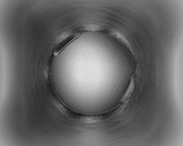 X0000086750305200704271715