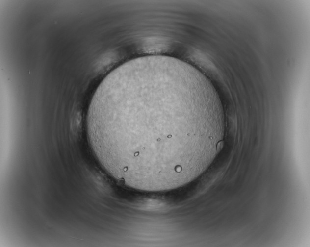 X0000086750308200704271715