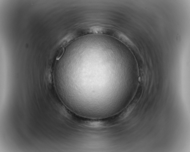 X0000086750313200704271715