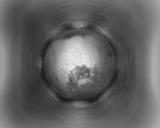 X0000086750315200704271715