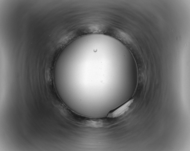 X0000086750317200704271715