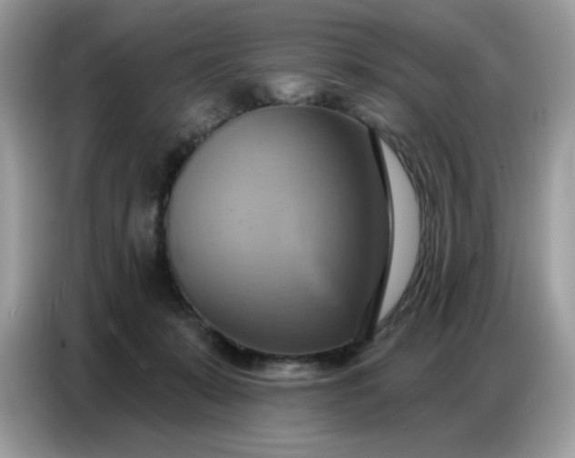 X0000086750319200704271715