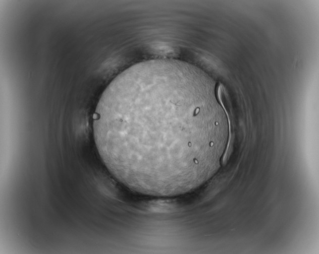 X0000086750320200704271715