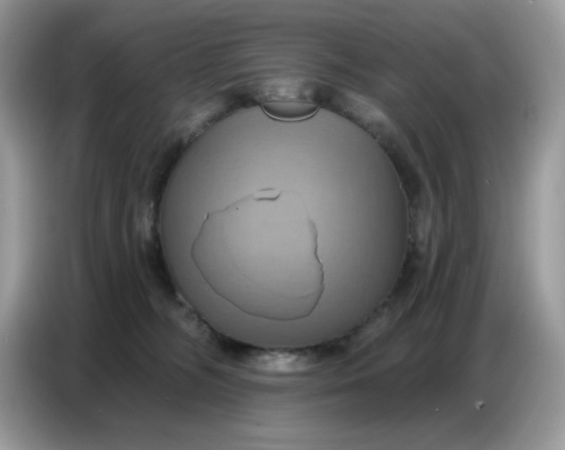 X0000086750326200704271715