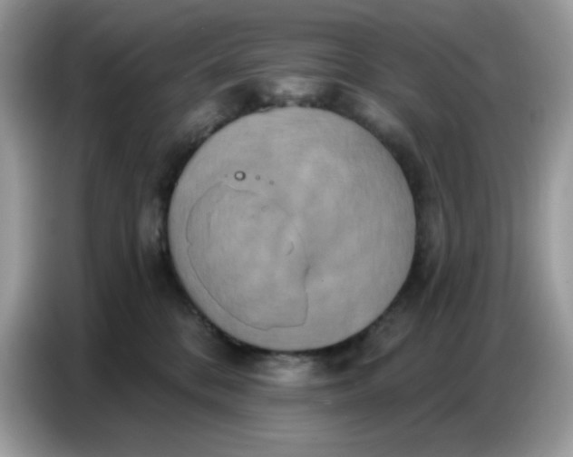 X0000086750328200704271715