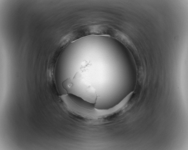 X0000086750329200704271715