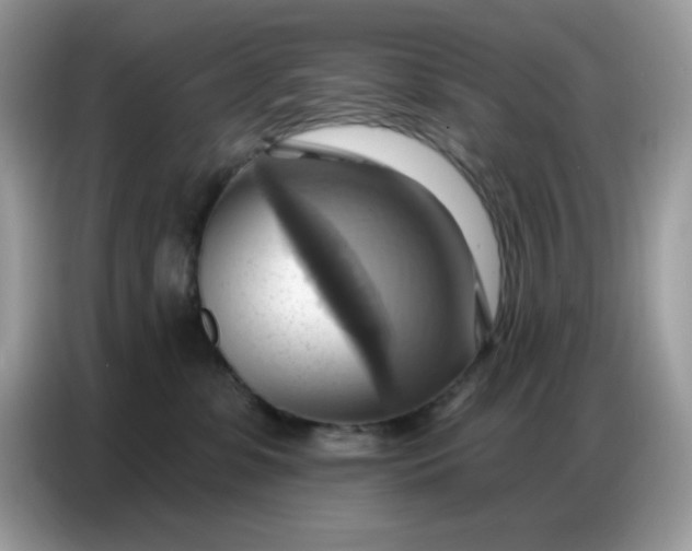 X0000086750331200704271715