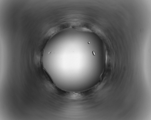 X0000086750333200704271715