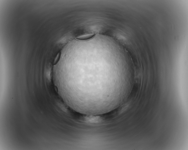 X0000086750334200704271715