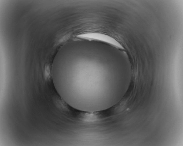 X0000086750335200704271715