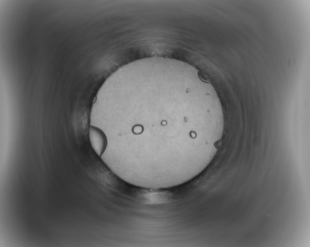 X0000086750336200704271715