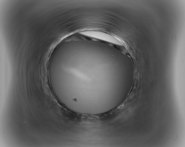 X0000086750337200704271714