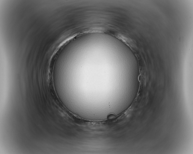 X0000086750338200704271714