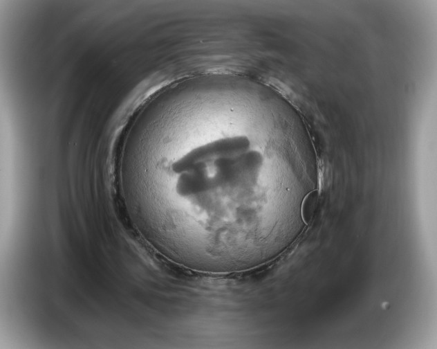 X0000086750339200704271714