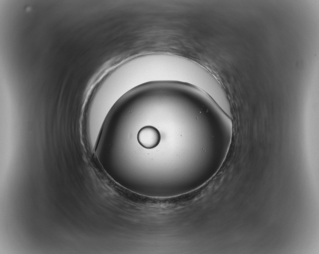 X0000086750340200704271714