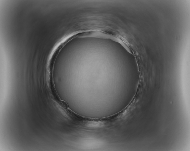 X0000086750342200704271714