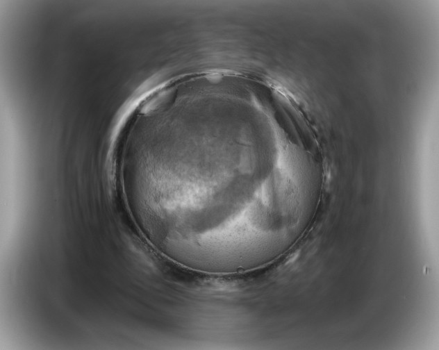 X0000086750343200704271715