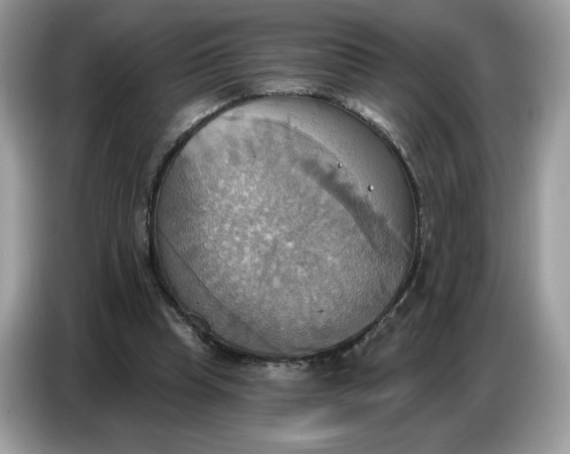 X0000086750345200704271715