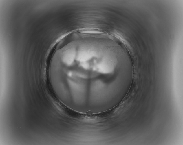 X0000086750346200704271715