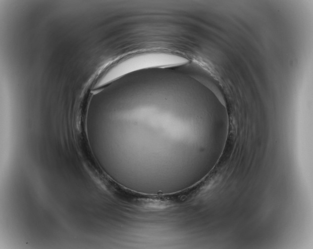 X0000086750347200704271715