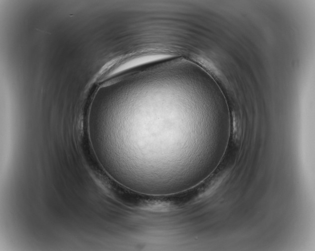 X0000086750348200704271715