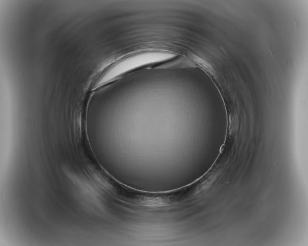 X0000086750349200704271715