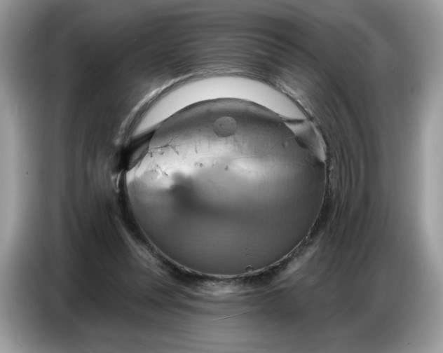 X0000086750351200704271715