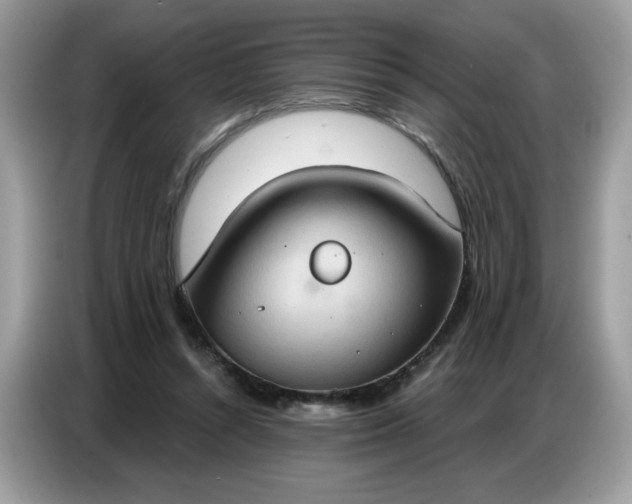 X0000086750352200704271715