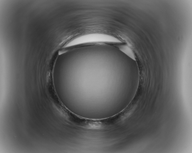 X0000086750355200704271715