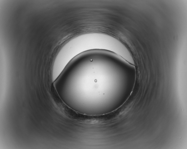 X0000086750356200704271715