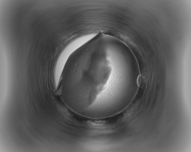 X0000086750359200704271715