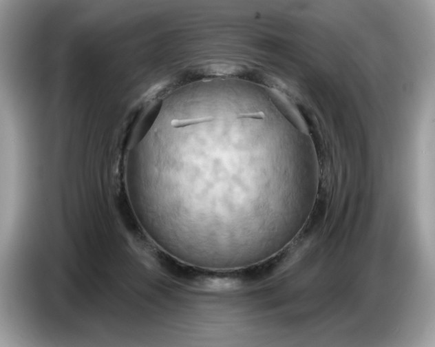 X0000086750360200704271715