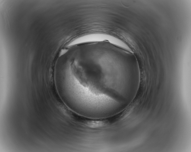 X0000086750361200704271715