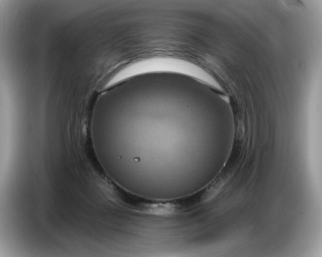 X0000086750363200704271715