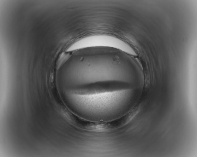 X0000086750365200704271715