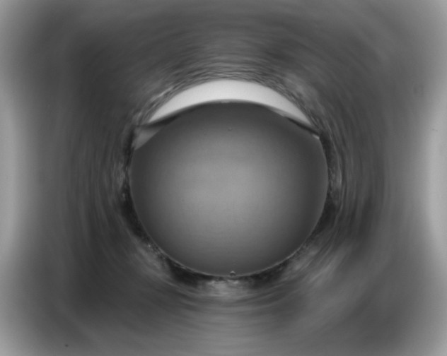 X0000086750367200704271715