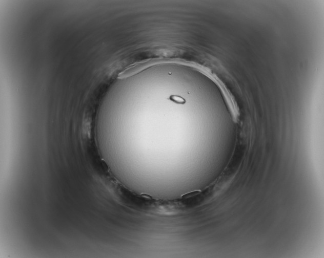 X0000086750368200704271715