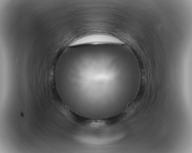 X0000086750369200704271715