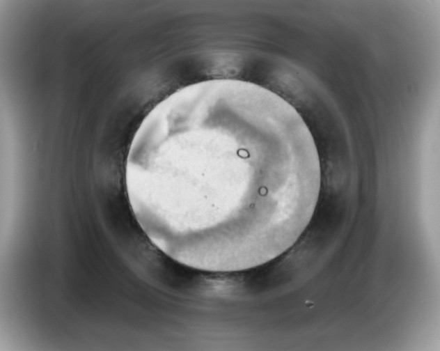 X0000086750370200704271715