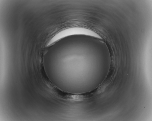 X0000086750371200704271715