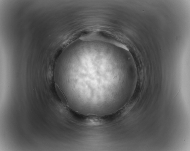 X0000086750372200704271715