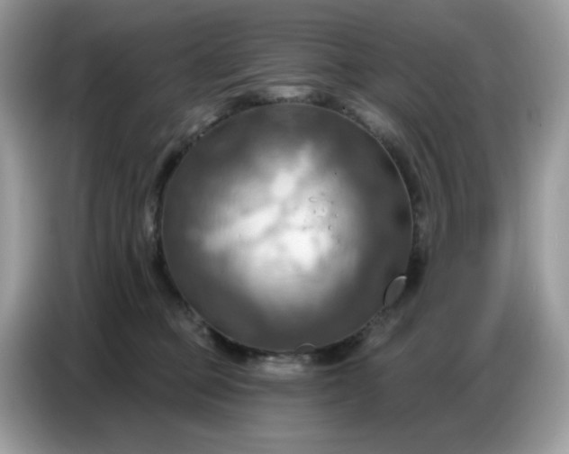 X0000086750373200704271715