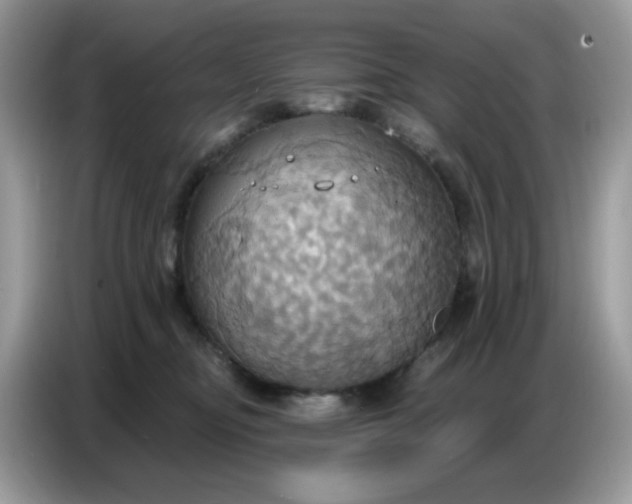 X0000086750374200704271715