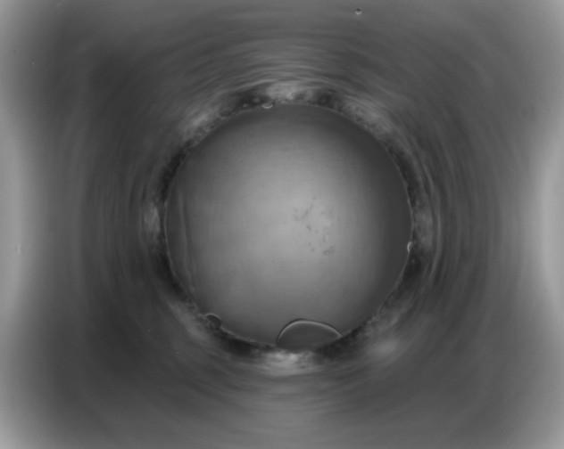 X0000086750375200704271715