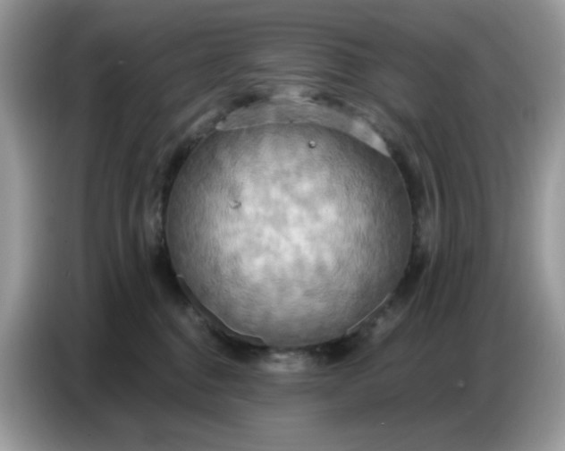 X0000086750376200704271715