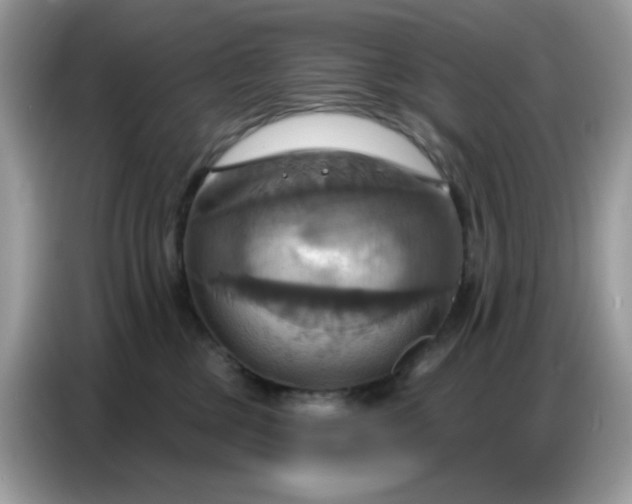 X0000086750377200704271715